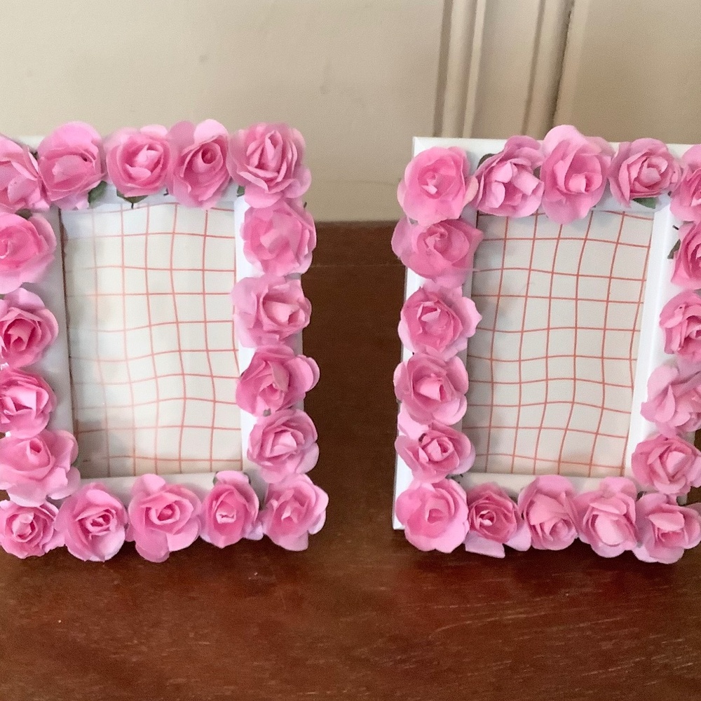 Set of 2…2x3 mini rose frames…you pick colors